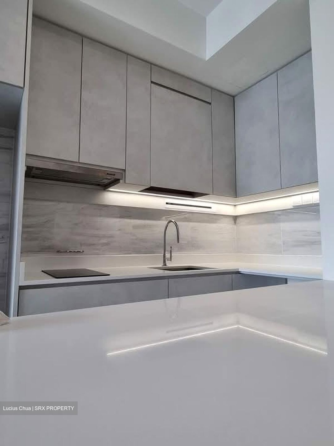 The Alps Residences (D18), Condominium #583349161